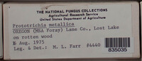 Image Associated With the Occurence